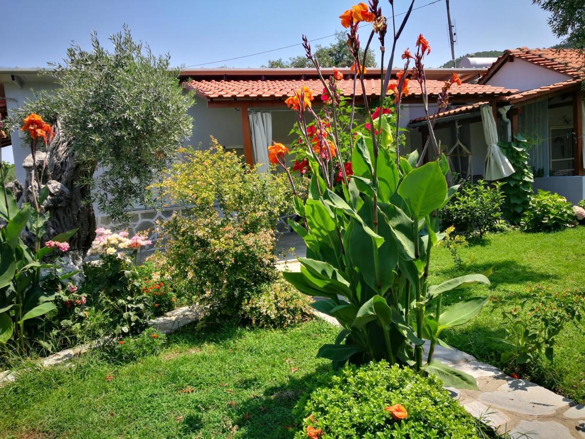 Cristi Apartments Skala Rachoni  Екстер'єр фото