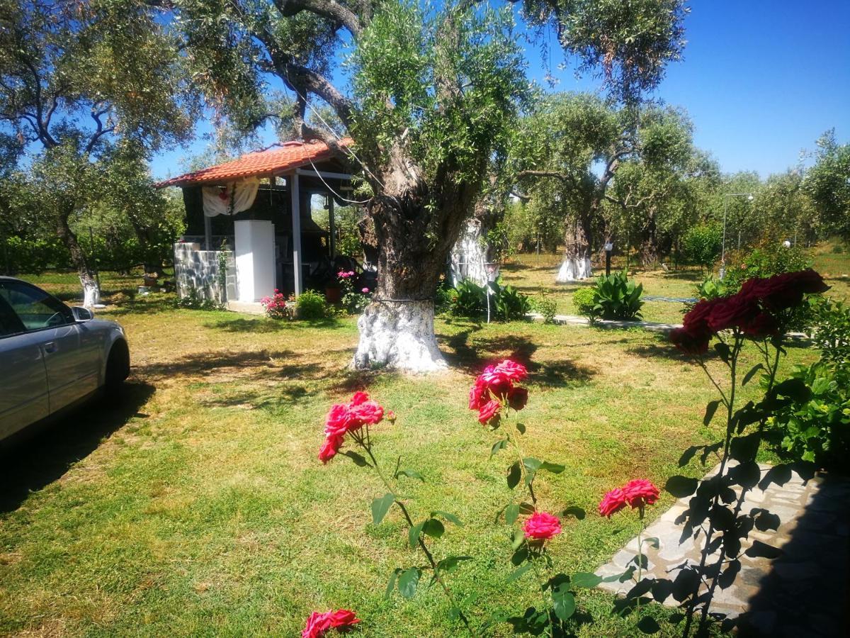 Cristi Apartments Skala Rachoni  Екстер'єр фото