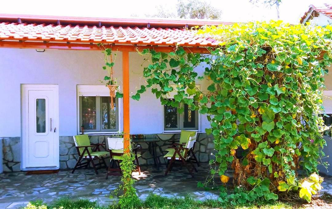 Cristi Apartments Skala Rachoni  Екстер'єр фото
